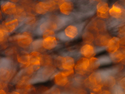 worcester wpi winter05 tree sunset abstract ice golden lighting kfergos