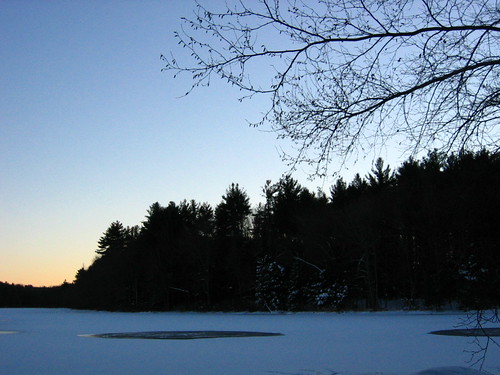 trees sunset 2 ice ims gastonpond