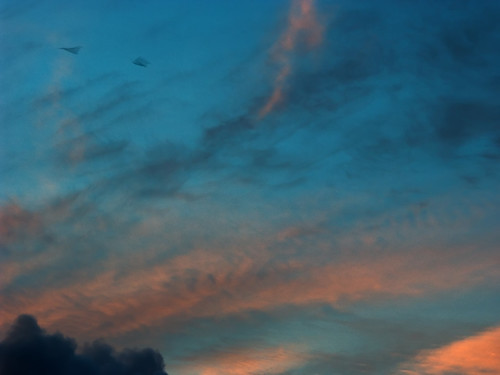 blue light red sky cloud france bird animal sunrise brittany colours albaluminis seagull bretagne breizh christian ciel mouette aube dimagea2