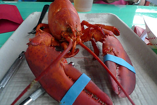 Maine - Kittery Chauncey Creek Lobster Pier lobster