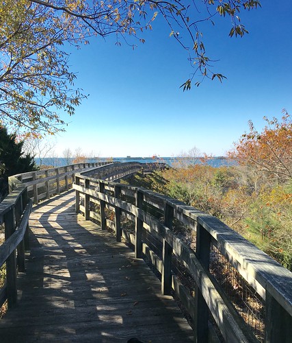 kiptopekestatepark outdoor path walkway wood water shadow tree sky peaceful blue railing plant view
