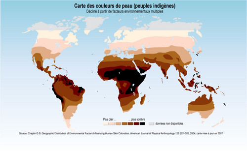 Carte des couleurs de peau (peuples indigènes) | GRID-Arendal