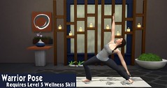 Yoga 9 Warrior Pose