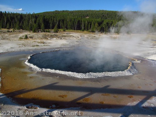 Crested Pool in Yellowstone's Upper Geyser Basin, Wyoming
