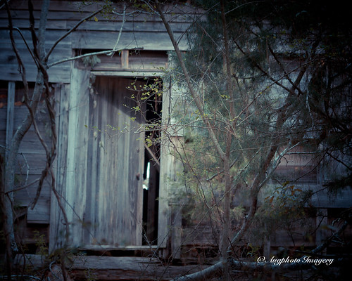 door old usa house building history abandoned sc home architecture ruins exterior decay promisedland augphotoimagery