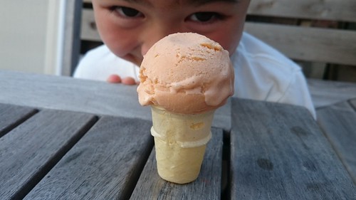 Apricot Ice Cream