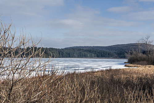 vermont shelburnepond landscape frozen