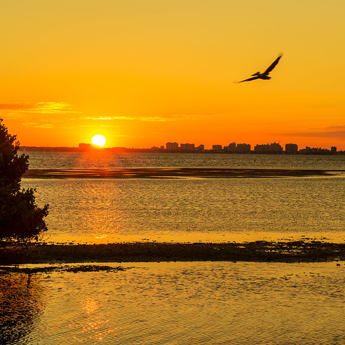 sky sunrise florida horizon pelican tidal longboatkey