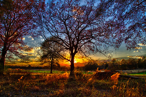 ranch trees sunset fall leaves canon fence mississippi photography photo image farm country picture pic images adobe crops nik hdr highdynamicrange 24105 2015 amitecounty canon6d mentalben hdrefexpro2 creativecloud colorefexpro4 lightroomcc