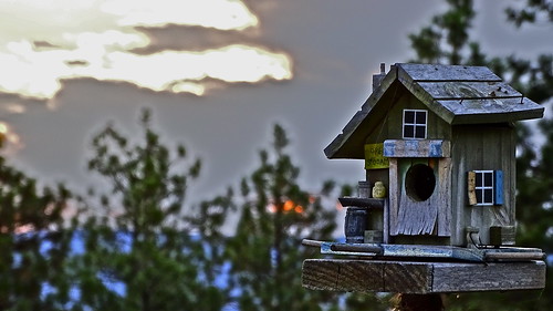 sunrise pov birdhouse