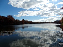 Wantagh - Twin Lakes Preserve - Autumn (78)