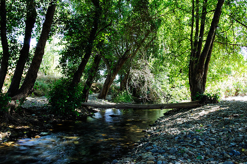naturaleza rio canon puente agua plantas arboles campo piedras canon600 sigma1750 murtiga