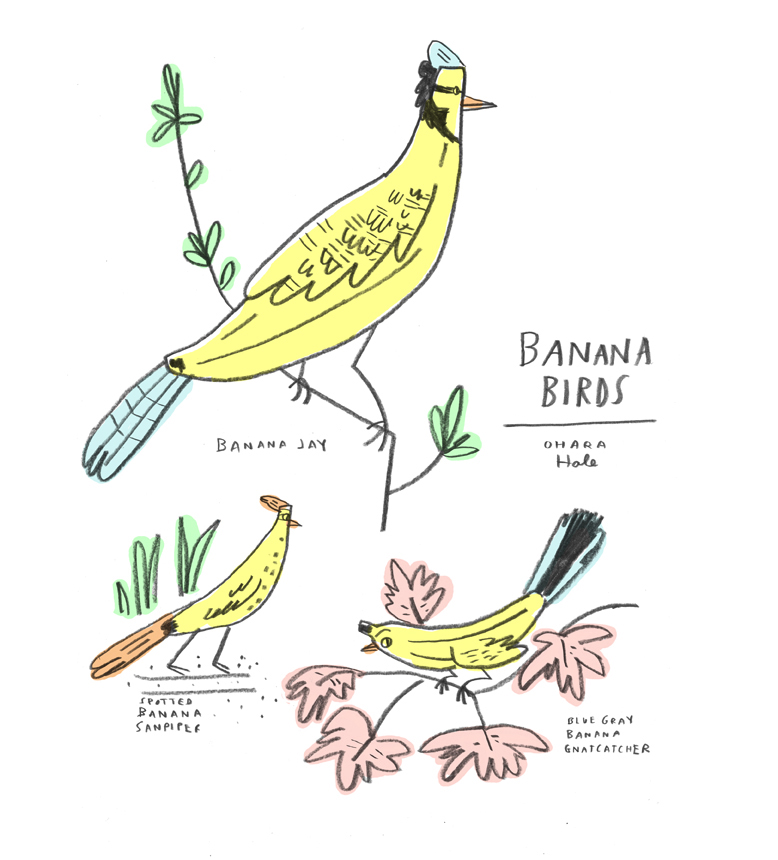 Banana Birds