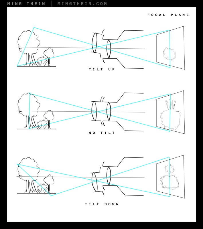 What is a Tilt Shift Lens? The Tilt Shift Effect Explained