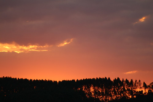 road sunset sky orange cloud sun tree silhouette scarlet pattern horizon sigma line 300mm