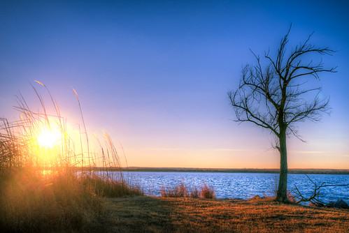 purple sony a99 hdr oklahoma ft supply lake sunset rural tree grass blue sky water