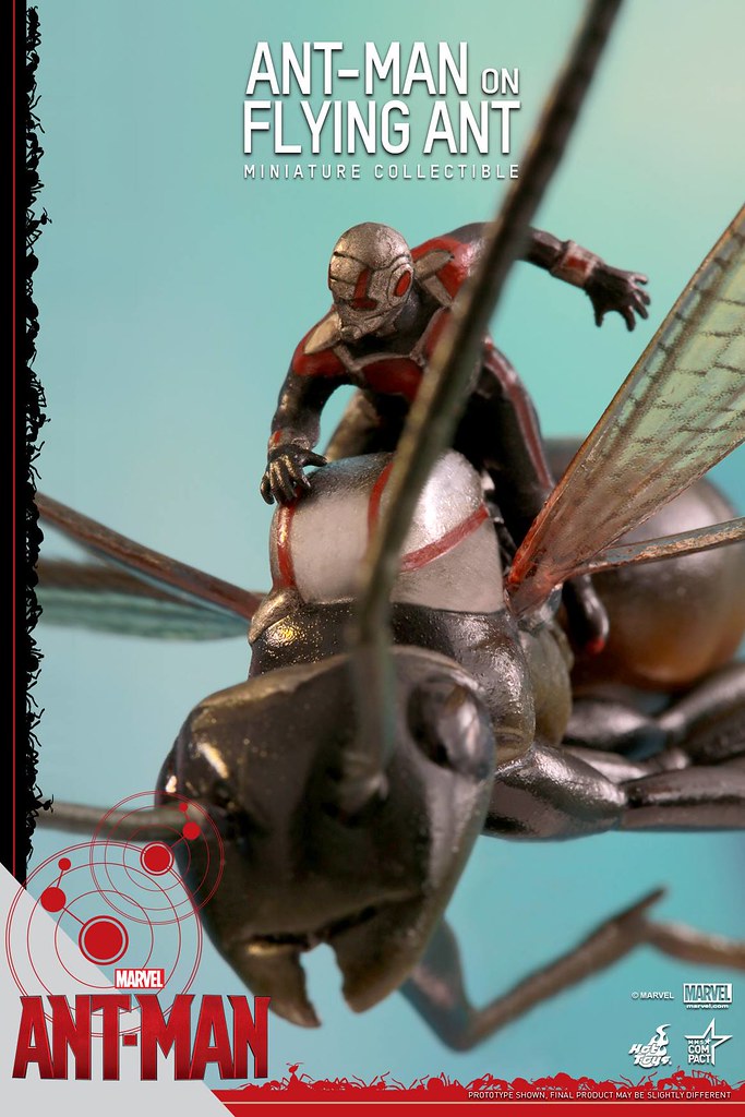 hot toys ant man on flying ant