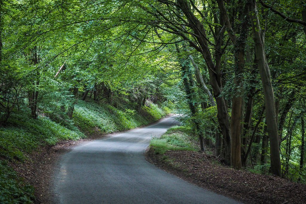 Quiet lanes approaching Finstock, the Cotswalds, England