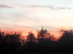 Sunset  through my window - Photo of Auzouville-Auberbosc