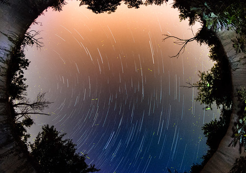 trees light red sky orange color abandoned nature silhouette horizontal architecture night dark stars outdoors us glow darkness unitedstates nobody westvirginia astrophotography dome astronomy derelict startrails fireflies pointpleasant masoncounty mcclintock lightningbugs tntarea
