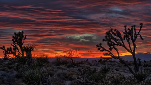 desert sunset arizona dolansprings gordoncottrell
