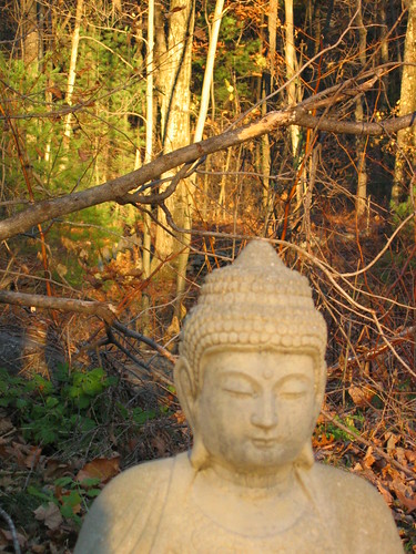 sunset statue garden 1 buddha ims