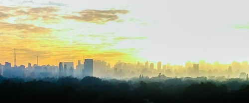 city morning cidade brazil yellow fog brasil sunrise buildings dawn sãopaulo amarelo metropolis neblina amanhecer prédios manhã metrópole lpday lpday2 lpyellow2016