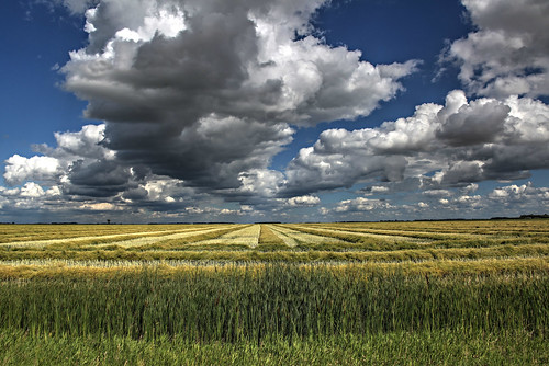 sky canada field clouds rural farm country manitoba prairie dugald biglandscape takeaim prairiesummer 2152015 215in2015 image72215 image86215