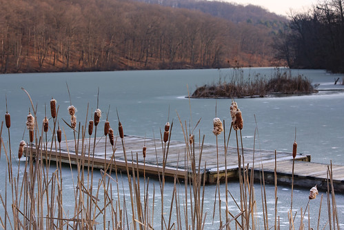 commonwealthpa pennsylvania westernpa pa boatdock winter raccooncreekstatepark kwtracyghostship clinton unitedstates us cattails dock jetty lake frozen sunrise cold forlorn lonely serene water landscape goldenlight perspective america wonder scale reeds lakescape boating weatheredwood rural nature shore country brown