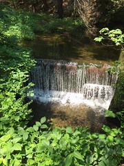 Waterfall behind the Zimmermann farm, Milford PA