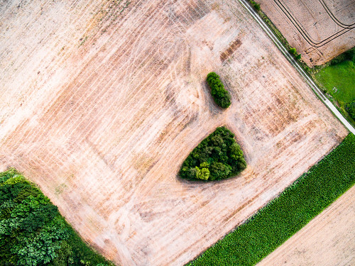 field forest way landscape traffic path feld meadow wiese aerialview environment aerialphoto landschaft wald verkehr weg umwelt luftaufnahme