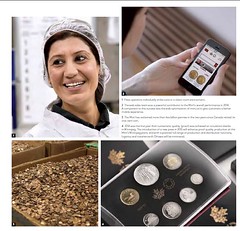 2014 Royal Canadian Mint Annual Report image1