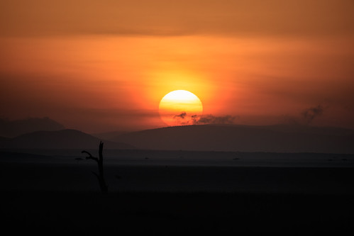 canoneos1dxmarkii canonef500mmf4lisii safari sunrise kenya masaimara