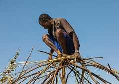 Man from Artuma tribe builds a traditional ethiopian house, Amhara region, Kemise, Ethiopia