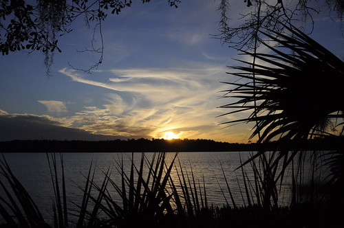 camping sunset lake nature silhouette florida aprilles paynesprairiepreserve