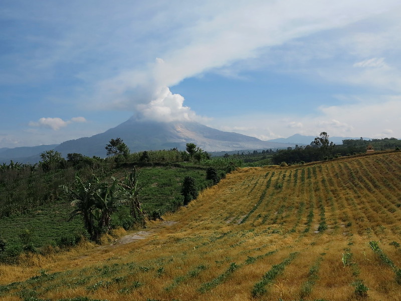 Северная Суматра: Bukit Lawang, mt Sibayak, mt Kemiri, Pulao Weh (май-июнь 2015)