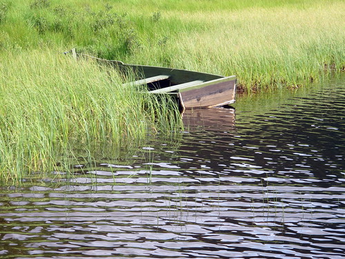reed boat gras båt siv stille noreg sirdal øksendal økesendalsvatn