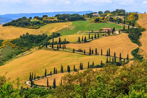 la foce tuscany italy italia toskana cypress hill landscape