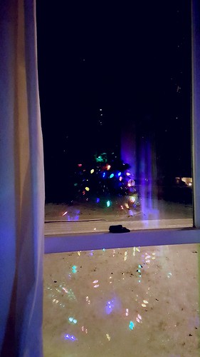 window christmaslights christmastree january snow dawn winter white vertical reflection