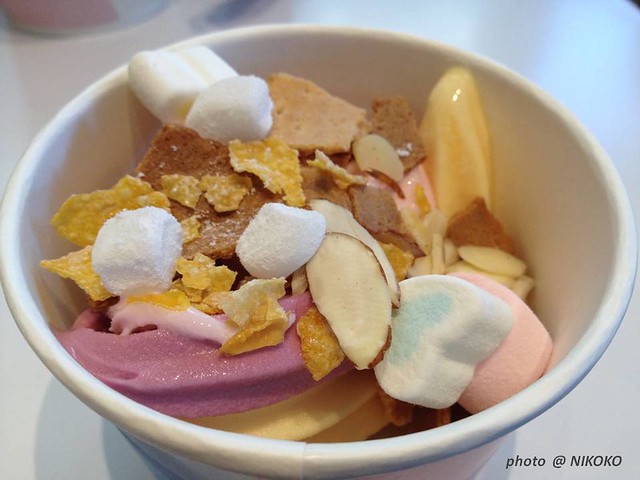 2015.06.11~15 (Yogurt Art 台大零脂低卡冰淇淋)