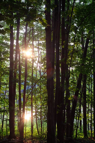 camping sunset canada site québec fujifilm fujinon forêt bois coucherdesoleil emplacement sepaq xt1 parcnationaldelayamaska xf35mmf14r