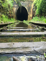 Helensburgh old railway tunnel