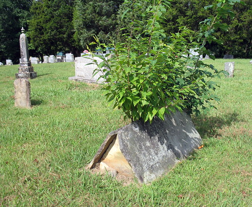 cemetery grave tombstone comb