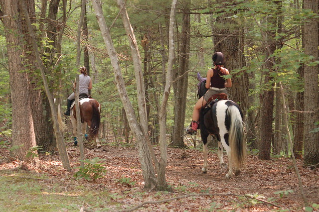 Riding your horses at Lake Anna State Park, Virginia looks like fun