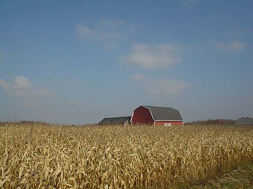 brodackis barn farm corn fall autumn