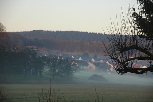 sun tree field fog sunrise germany deutschland nebel feld sonne sonnenaufgang ostwestfalen werther