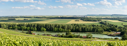 summer panorama france landscape vineyard outdoor champagne été paysage fr vignoble vigne marne champagneardenne mareuilsuray champenois