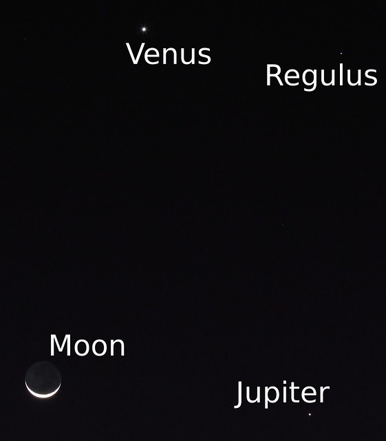 A moon, two planets and a star. The earth's moon, Jupiter, Venus, and Regulus all lined up this evening.