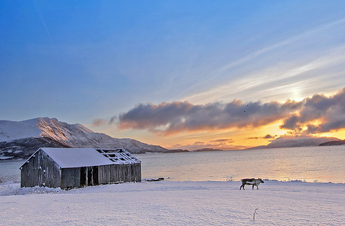 sunset cloud mountains sunshine norway montagne sunrise norge neige polar norvege tromso troms polaire