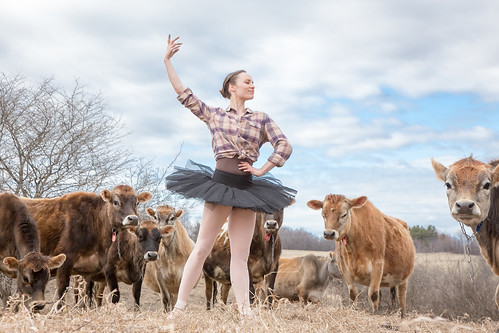 Ballerina Megan Stearns dancing the lead role of the farmer in Vermont’s Farm to Ballet project